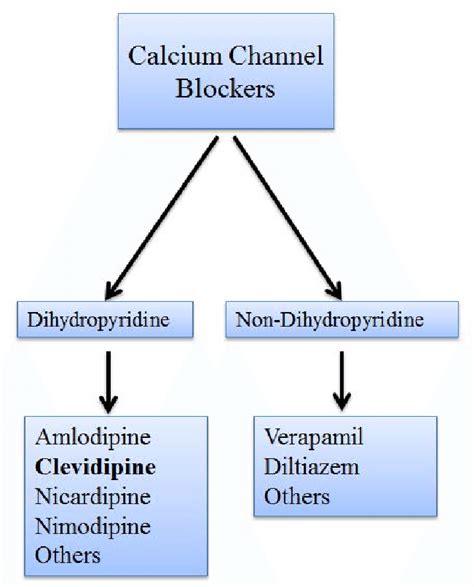 calcium chanel blocker e d|calcium channel blockers examples.